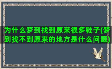 为什么梦到找到原来很多鞋子(梦到找不到原来的地方是什么问题)