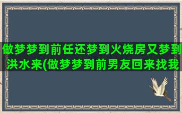 做梦梦到前任还梦到火烧房又梦到洪水来(做梦梦到前男友回来找我)