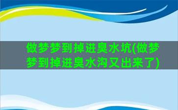 做梦梦到掉进臭水坑(做梦梦到掉进臭水沟又出来了)