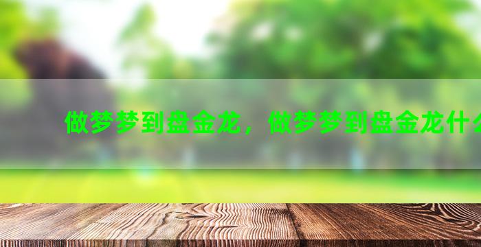 做梦梦到盘金龙，做梦梦到盘金龙什么意思