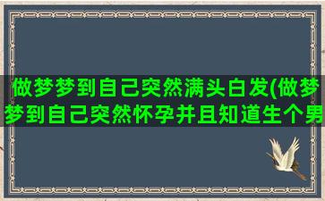 做梦梦到自己突然满头白发(做梦梦到自己突然怀孕并且知道生个男孩)