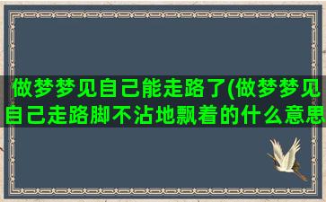 做梦梦见自己能走路了(做梦梦见自己走路脚不沾地飘着的什么意思)