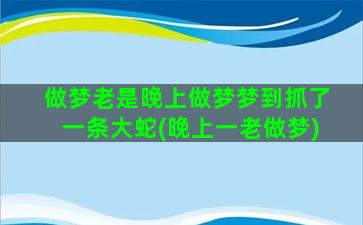 做梦老是晚上做梦梦到抓了一条大蛇(晚上一老做梦)