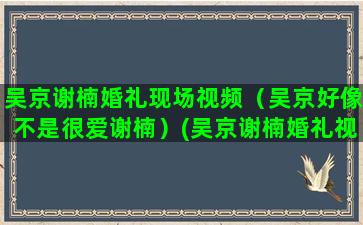 吴京谢楠婚礼现场视频（吴京好像不是很爱谢楠）(吴京谢楠婚礼视频)