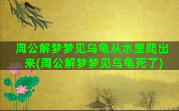 周公解梦梦见乌龟从水里爬出来(周公解梦梦见乌龟死了)