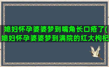 媳妇怀孕婆婆梦到嘴角长口疮了(媳妇怀孕婆婆梦到满院的红大枸杞)