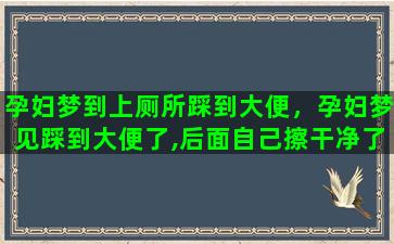 孕妇梦到上厕所踩到大便，孕妇梦见踩到大便了,后面自己擦干净了