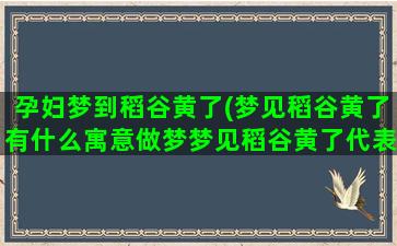 孕妇梦到稻谷黄了(梦见稻谷黄了有什么寓意做梦梦见稻谷黄了代表什么)