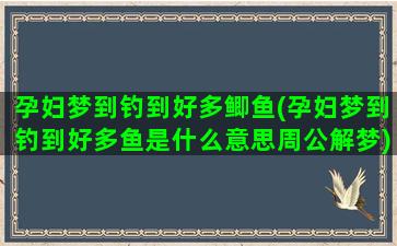 孕妇梦到钓到好多鲫鱼(孕妇梦到钓到好多鱼是什么意思周公解梦)