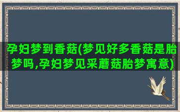 孕妇梦到香菇(梦见好多香菇是胎梦吗,孕妇梦见采蘑菇胎梦寓意)