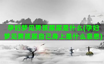 孕妇梦见男孩尿尿是什么(孕妇梦见男孩尿自己身上是什么意思)