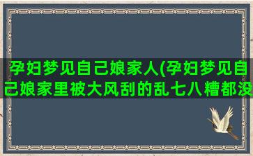 孕妇梦见自己娘家人(孕妇梦见自己娘家里被大风刮的乱七八糟都没什么东西了)