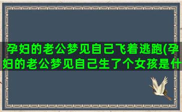 孕妇的老公梦见自己飞着逃跑(孕妇的老公梦见自己生了个女孩是什么意思)