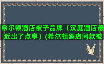 希尔顿酒店被子品牌（汉庭酒店最近出了点事）(希尔顿酒店同款被子)