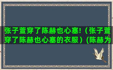 张子萱穿了陈赫也心塞!（张子萱穿了陈赫也心塞的衣服）(陈赫为什么娶张子萱)