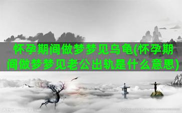 怀孕期间做梦梦见乌龟(怀孕期间做梦梦见老公出轨是什么意思)