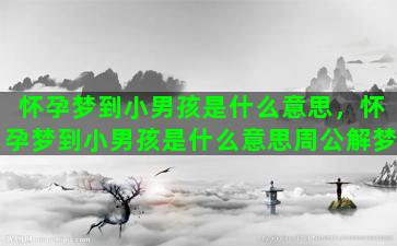 怀孕梦到小男孩是什么意思，怀孕梦到小男孩是什么意思周公解梦