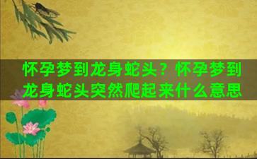 怀孕梦到龙身蛇头？怀孕梦到龙身蛇头突然爬起来什么意思