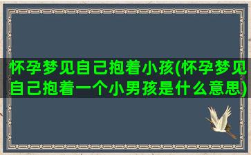 怀孕梦见自己抱着小孩(怀孕梦见自己抱着一个小男孩是什么意思)