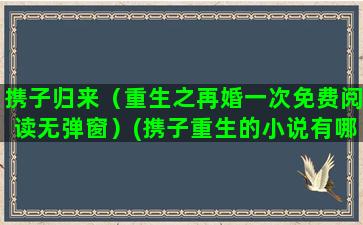 携子归来（重生之再婚一次免费阅读无弹窗）(携子重生的小说有哪些)