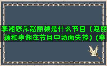 李湘怒斥赵丽颖是什么节目（赵丽颖和李湘在节目中场面失控）(李湘凶赵丽颖:谁让你说话的)