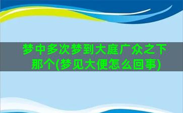 梦中多次梦到大庭广众之下那个(梦见大便怎么回事)