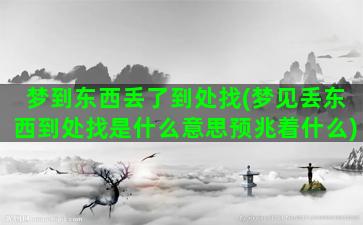 梦到东西丢了到处找(梦见丢东西到处找是什么意思预兆着什么)