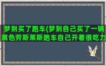 梦到买了跑车(梦到自己买了一辆黑色劳斯莱斯跑车自己开着很吃力是什么意思)