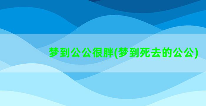 梦到公公很胖(梦到死去的公公)