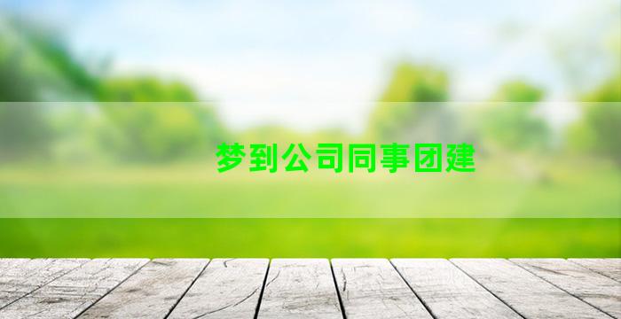 梦到公司同事团建