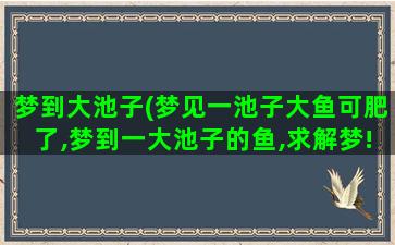 梦到大池子(梦见一池子大鱼可肥了,梦到一大池子的鱼,求解梦!!)