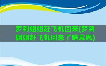 梦到姐姐赶飞机回来(梦到姐姐赶飞机回来了啥意思)