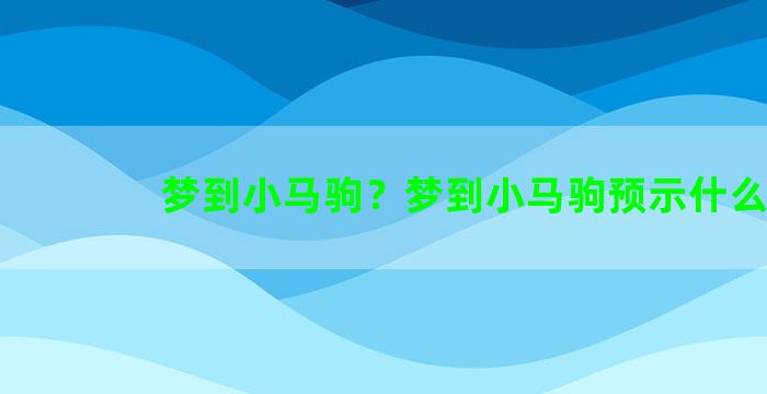 梦到小马驹？梦到小马驹预示什么