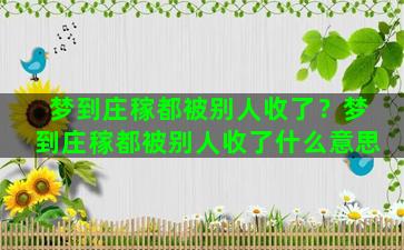 梦到庄稼都被别人收了？梦到庄稼都被别人收了什么意思