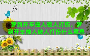 梦到开车撞人被人打伤，梦到开车撞人被人打伤什么意思