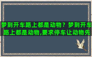 梦到开车路上都是动物？梦到开车路上都是动物,要求停车让动物先过