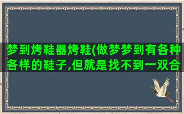 梦到烤鞋器烤鞋(做梦梦到有各种各样的鞋子,但就是找不到一双合适的)