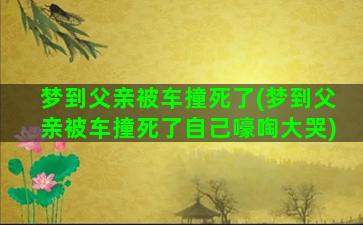 梦到父亲被车撞死了(梦到父亲被车撞死了自己嚎啕大哭)