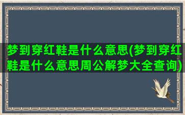 梦到穿红鞋是什么意思(梦到穿红鞋是什么意思周公解梦大全查询)