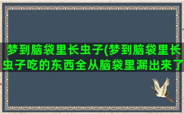 梦到脑袋里长虫子(梦到脑袋里长虫子吃的东西全从脑袋里漏出来了)