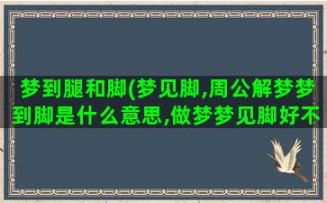 梦到腿和脚(梦见脚,周公解梦梦到脚是什么意思,做梦梦见脚好不好)