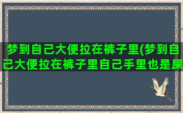 梦到自己大便拉在裤子里(梦到自己大便拉在裤子里自己手里也是屎)