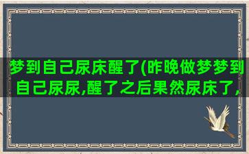 梦到自己尿床醒了(昨晚做梦梦到自己尿尿,醒了之后果然尿床了,是什么回事)