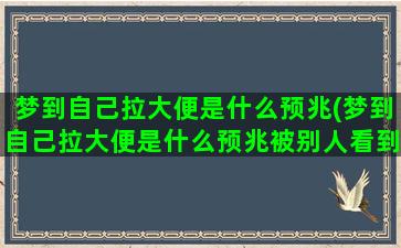 梦到自己拉大便是什么预兆(梦到自己拉大便是什么预兆被别人看到)