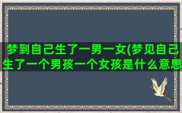 梦到自己生了一男一女(梦见自己生了一个男孩一个女孩是什么意思)