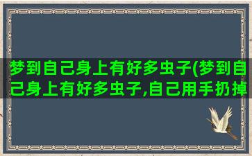 梦到自己身上有好多虫子(梦到自己身上有好多虫子,自己用手扔掉)