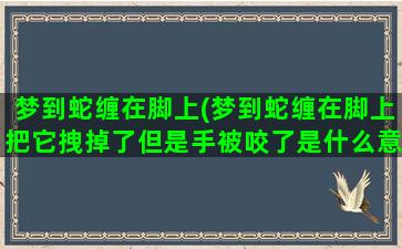 梦到蛇缠在脚上(梦到蛇缠在脚上把它拽掉了但是手被咬了是什么意思)