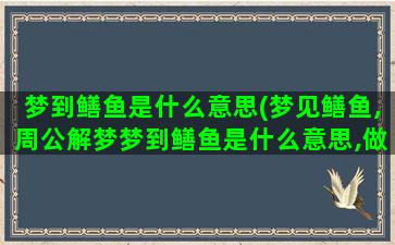 梦到鳝鱼是什么意思(梦见鳝鱼,周公解梦梦到鳝鱼是什么意思,做梦梦见鳝鱼好不好)