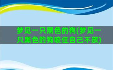 梦见一只黑色的狗(梦见一只黑色的狗咬住自己不放)