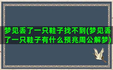 梦见丢了一只鞋子找不到(梦见丢了一只鞋子有什么预兆周公解梦)